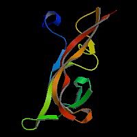 大鼠神经营养因子4(NT-4)elisa试剂盒>说明书