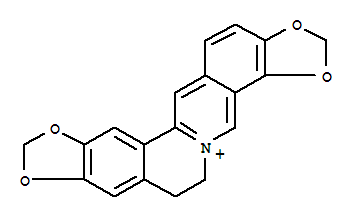 黄连碱（CAS：3486-66-6）中药对照品，标准品