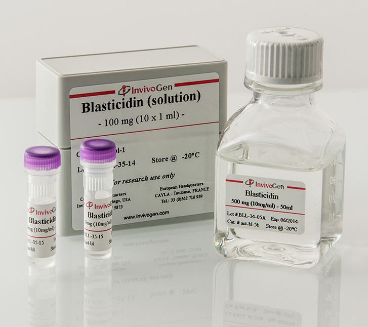BLASTICIDIN