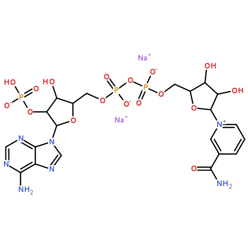 氧化型辅酶Ⅱ24292-60-2青岛捷世康