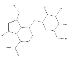 现货供应去乙酰基车叶草苷酸 deacetyl asperulosidic acid 中药对照品，标准品