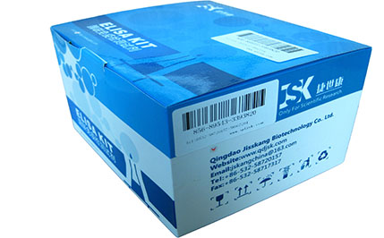 人血纤蛋白原(Fbg)elisa试剂盒