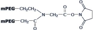 Y型聚乙二醇NHS酯