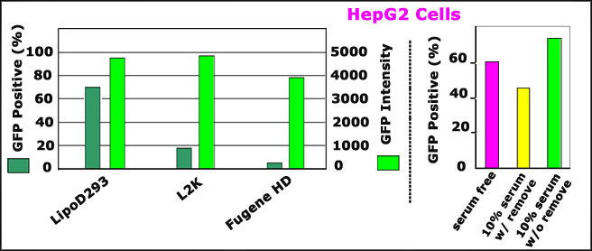 供应Signagen 体外 LipoD 293 DNA 转染试剂 (升级版)-SL100668