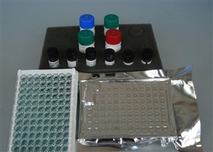 大鼠解整合素样金属蛋白酶33(ADAM33)ELISA检测试剂盒