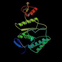 大鼠内皮型一氧化氮合成酶3(eNOS-3)elisa试剂盒|捷世康供应