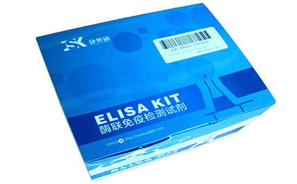 人胰高血糖素样肽1(GLP-1)elisa试剂盒生产厂家