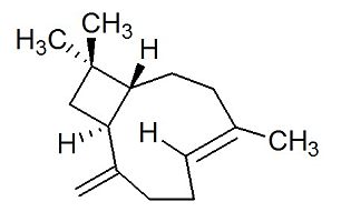 β-丁香烯，CAS：87-44-5，对照品上架