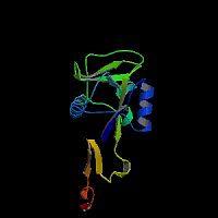 大鼠可溶性E选择素(sE-selectin)elisa试剂盒