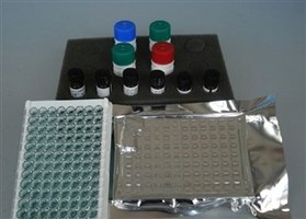 人表皮细胞活化肽因子(CAPF)ELISA试剂盒