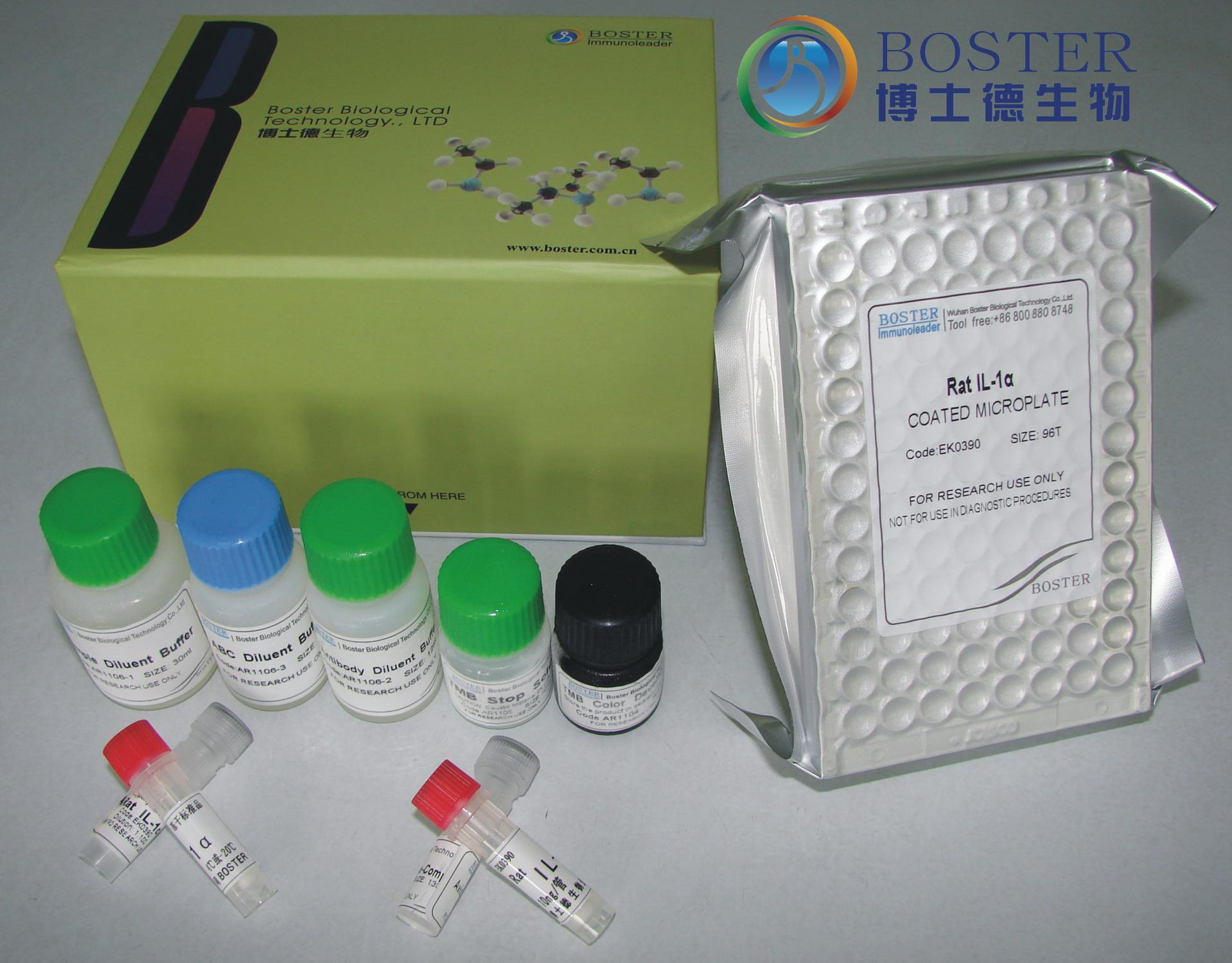 人的白细胞介素24 ELISA试剂盒 IL-24（h） ELISA Kit