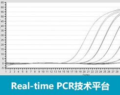 功能分型PCR芯片