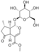 548-37-8，马鞭草苷 Verbenalin 中药对照品，标准品
