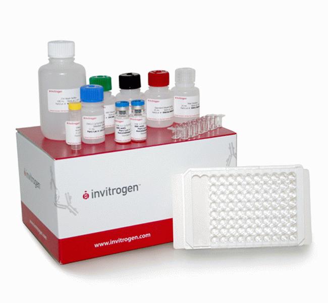 大鼠血纤蛋白原降解产物(FDP)ELISA试剂盒促销