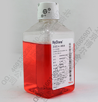 HyClone 改良型a-MEM 培养基 SH30265.01B 培养液