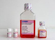 C57BL/6小鼠骨髓间质干细胞成骨诱导分化培养基