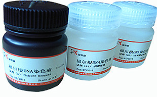 RNase A(10mg/ml)