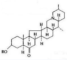 厂家直销 伊贝碱苷A (辛贝甲素-3β-D-葡萄糖苷) Yibeinoside A 中药对照品标准品
