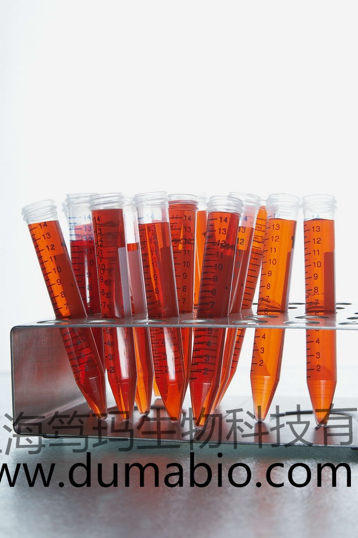  TianFect 转染试剂