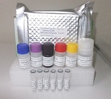 猴载脂蛋白A1(apo-A1)ELISA试剂盒供应