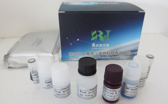 人P物质受体(SP-R)ELISA试剂盒价格