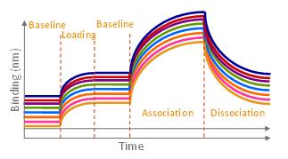 分子相互作用动力学检测服务