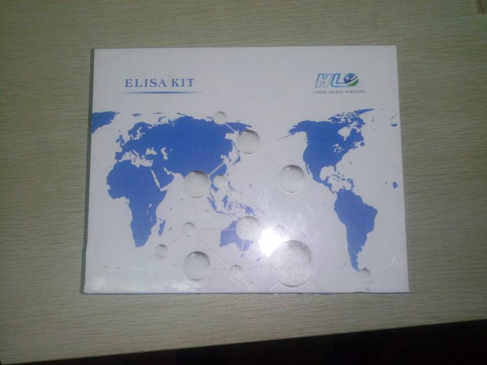 大鼠胰高血糖素样肽1(Glp-1)ELISA试剂盒