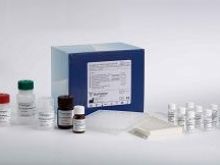 大鼠（TNFsR-Ⅰ）Elisa试剂盒