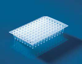 96孔PCR板，无裙边，标准，透明