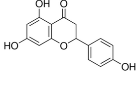(±)-柚皮素 N5893-5G