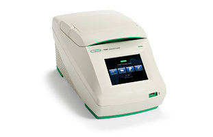 T100™ PCR 仪北京现货价格