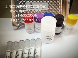 人氧化低密度脂蛋白抗体(OLAb)ELISA试剂盒 