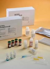 Blood DNA Kit（200）（基因组DNA抽提试剂盒系裂）