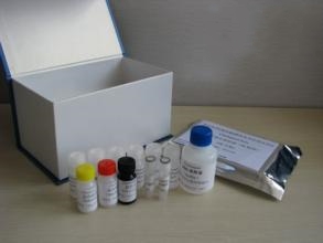 FFPE DNA Kit（5）（基因组DNA抽提试剂盒系裂）