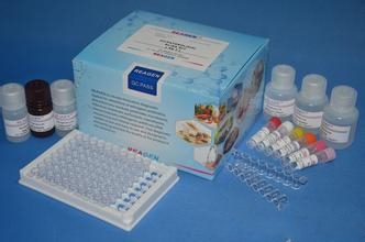 E-Z 96 Fungal DNA Kit（8x96）（基因组DNA抽提试剂盒系裂）