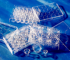 Transwell® 0.4 µm孔径24孔嵌套小室，聚酯膜，6.5 mm直径，无菌（产品＃3470）