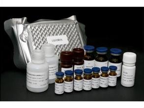 Endo-free BAC/PAC DNA Kit (50)(质粒抽提试剂盒)