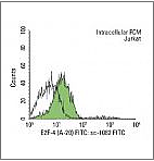  donkey anti-rabbit IgG-FITC  