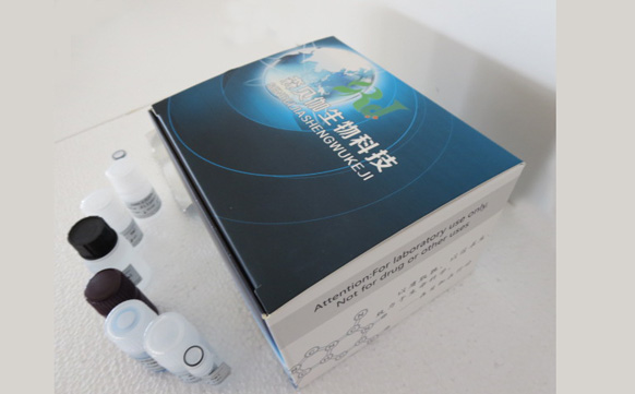 小鼠甲种胎儿球蛋白/甲胎蛋白(AFP)ELISA试剂盒免费代测