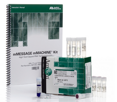 mmachine®SP6转录试剂盒