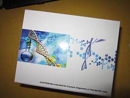 EZ-CasTM CRISPR-Cas9体外转录载体构建试剂盒