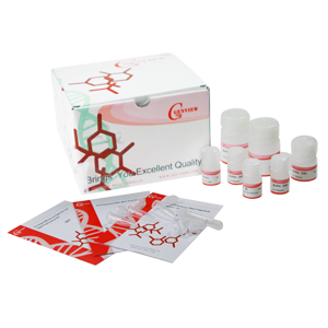  细胞凋亡 -Annexin V-FITC/PI 检测试剂盒（双染）