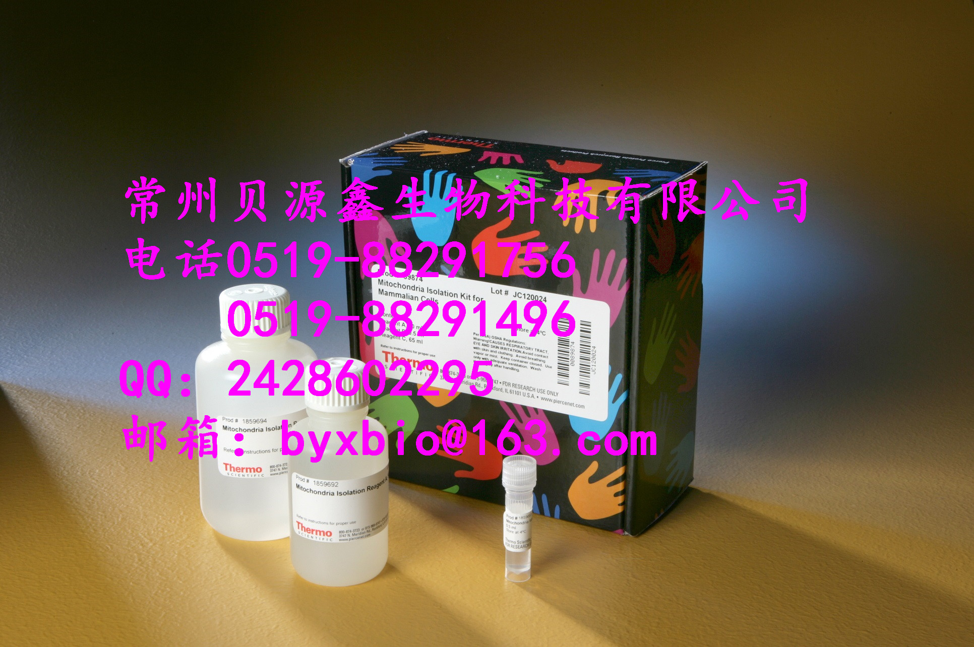 人白细胞分化抗原30(CD30)ELISA试剂盒价格 现货