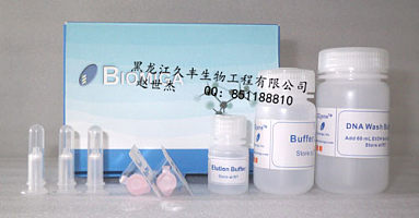 PD1211-01质粒小量提取试剂盒