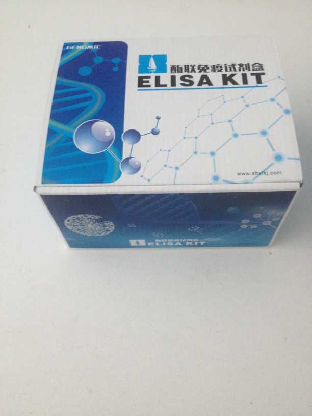 人睾酮(T)elisa试剂盒