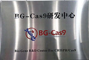 BG-Cas9研究中心.jpg