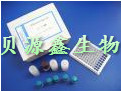 货号BYX-003306-K山羊白介素2受体(IL-2R)介素4ELISA试剂盒