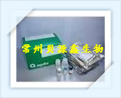 人白介素6(IL-6)ELISA试剂盒 现货elisa