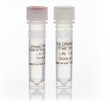 Goat anti-Mouse IgG (H+L) Secondary Antibody, Alexa Fluor® 647 conjugate