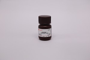 Collagen from Fish scales   胶原蛋白（来源于鱼皮）9007-34-5